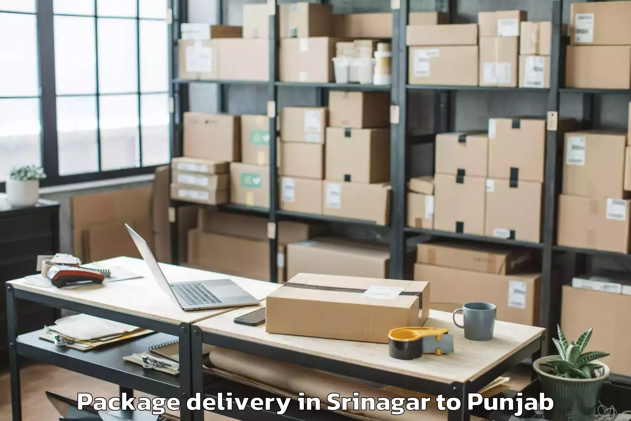 Book Srinagar to Jalandhar Package Delivery Online